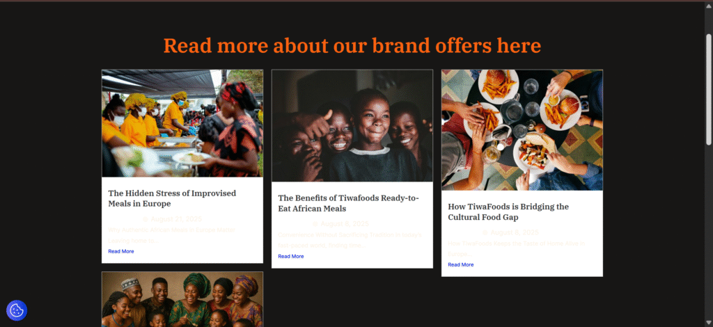 MY PORTFOLIO Affordable website designer in Oshogbo Nigeria work sample